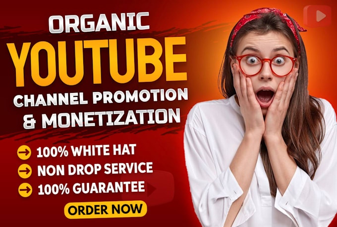 Gig Preview - Do super fast organic youtube channel promotion and monetization