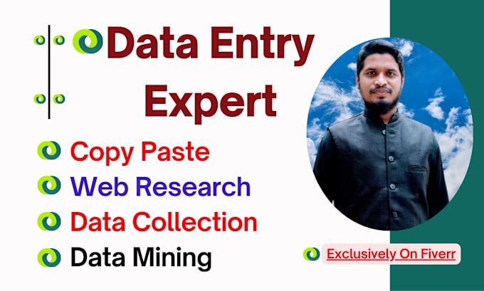 Gig Preview - Do data entry, copy paste, web research, pdf to excel