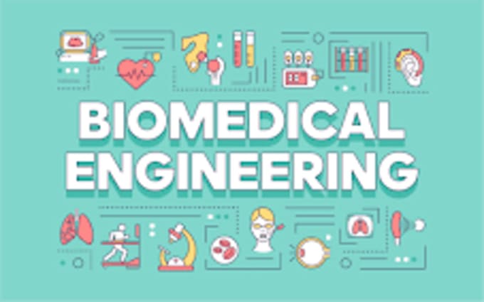 Gig Preview - Help with biomedical engineering tasks and problems