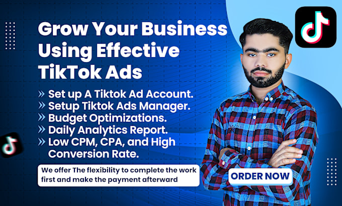 Gig Preview - Run and manage tiktok ads campaign, tiktok ads, tiktok ads manager, tiktok