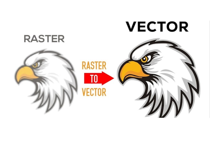 Bestseller - convert any image to vector manual tracing