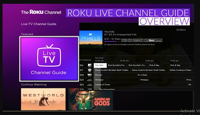 Gig Preview - Develop a professional roku tv channel, live tv , and roku app