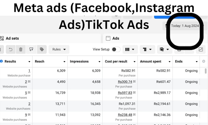 Gig Preview - Setup meta ads and tiktok campaign manager for sales,leads,traffic and awarness