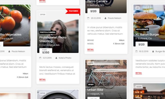 Gig Preview - Design brilliant directory website listing website directory website listingpro