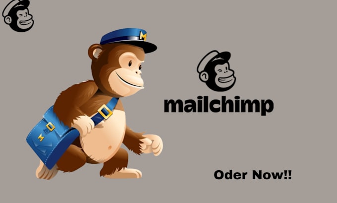 Gig Preview - Do mailchimp landing page mailchimp automation mailchimp template