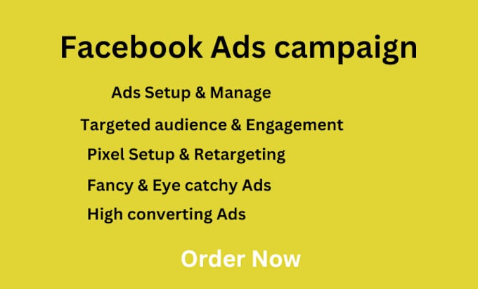 Gig Preview - Setup facebook ads campaign and fb promotion