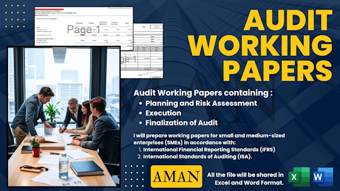 Gig Preview - Prepare working papers for manual audit as per requirement