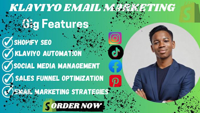 Gig Preview - Do audit, and manage advanced  klaviyo email marketing  in shopify