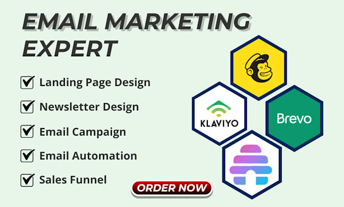 Gig Preview - Design canva beehiiv klaviyo mailchimp email newsletter template brevo in 24hr