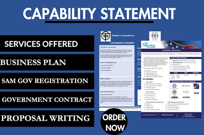 Gig Preview - Produce a well detail government capability statement for government contracting