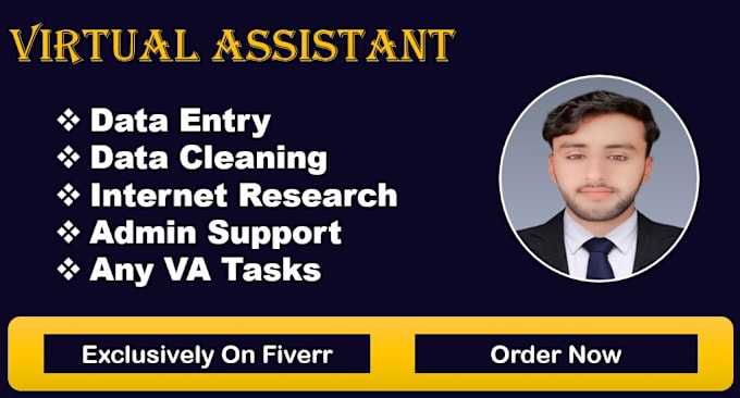 Gig Preview - Be virtual assistant for data entry and web scrapping