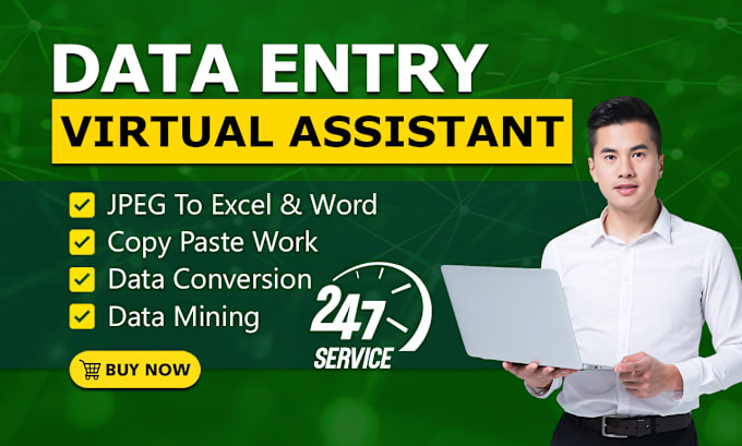 Gig Preview - Be your virtual assistant for data entry, data mining, copy paste, web research