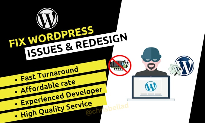 Gig Preview - Fix wordpress website issues, errors, bug customization, and redesign wordpress