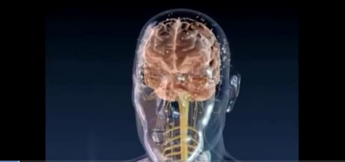 Gig Preview - Do high quality 3d medical animation video and surgery animation anatomy