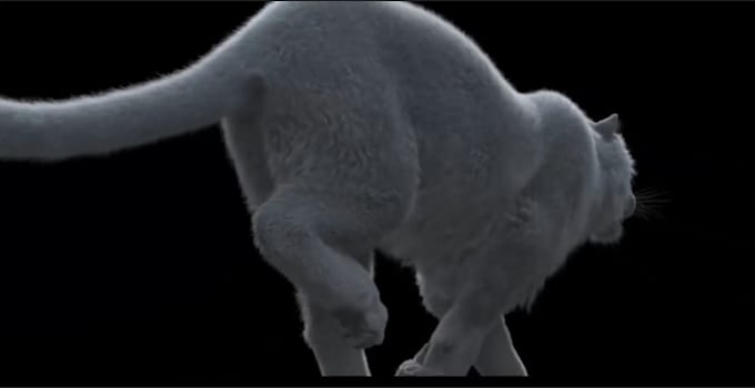 Gig Preview - Integrate 3d photorealistic animal animation, 3d anima model fur and rigging cgi