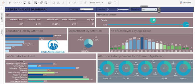 Gig Preview - Convert data into decisions via tableau insights