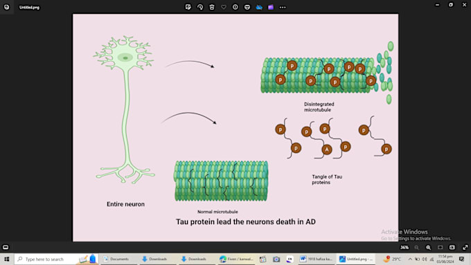 Gig Preview - Write science and medical powerpoint presentations