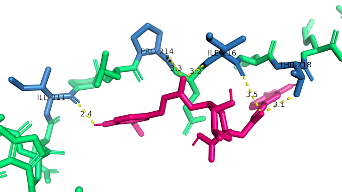 Gig Preview - Perform virtual screening of multiple ligands with proteins