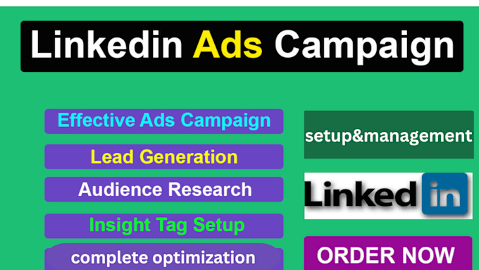 Gig Preview - Setup and manage your linkedin ads campaign