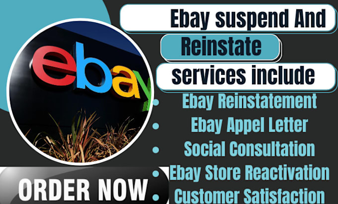 Gig Preview - Ebay account reinstatement, ebay defects and account related issues