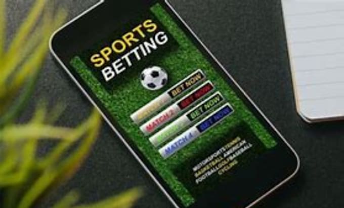 Gig Preview - Develop bet website sport bet app crypto bet app sport bet website crypto game