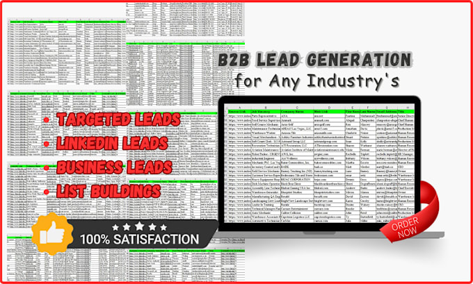 Gig Preview - Professional lead generation provider