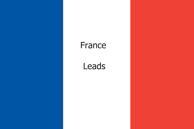 Gig Preview - Provide france sales leads database