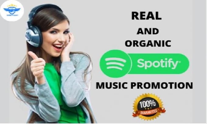 Gig Preview - Do organic spotify promotion for monthly listeners, spotify monthly listeners