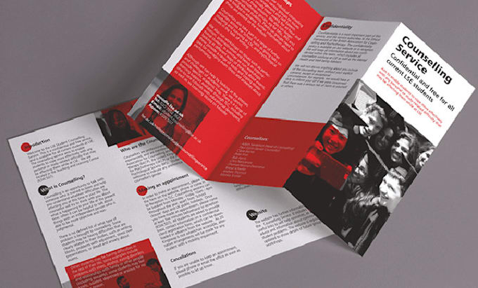 Gig Preview - Make a fast, accurate, and professional layout in indesign