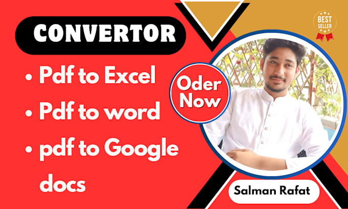 Gig Preview - Convert PDF to excel, word or google sheet