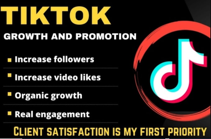 Gig Preview - Organically promote your tiktok account, tiktok influencer, tiktok marketing