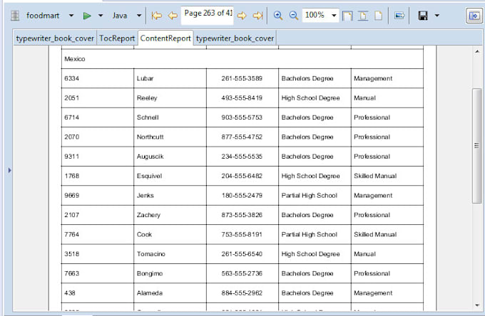 Gig Preview - Create an awesome jaspersoft report for you