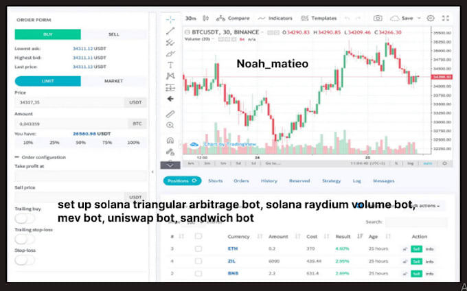 Gig Preview - Set up solana triangular arbitrage bot, solana raydium volume bot