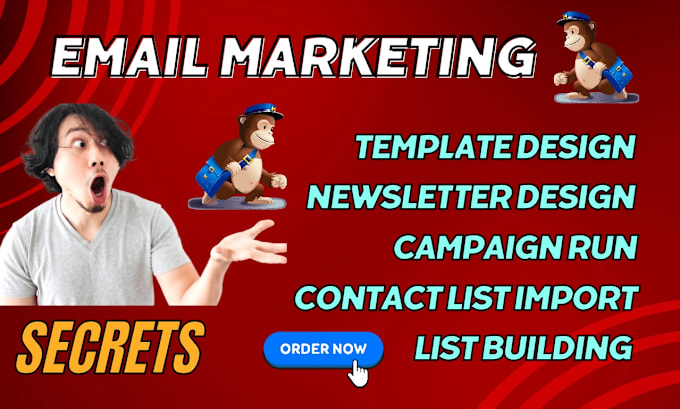 Gig Preview - Do mailchimp email marketing campaign to grow your business