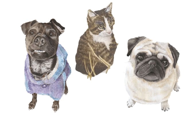 Gig Preview - Paint your pet portrait, dogs, cats