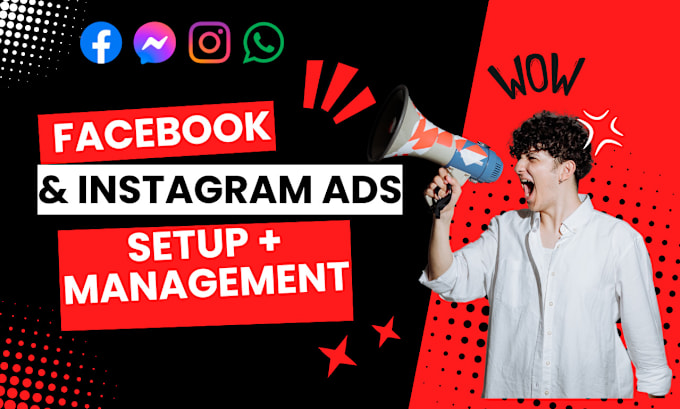 Gig Preview - Set up facebook ads and instagram ads for leads and sales