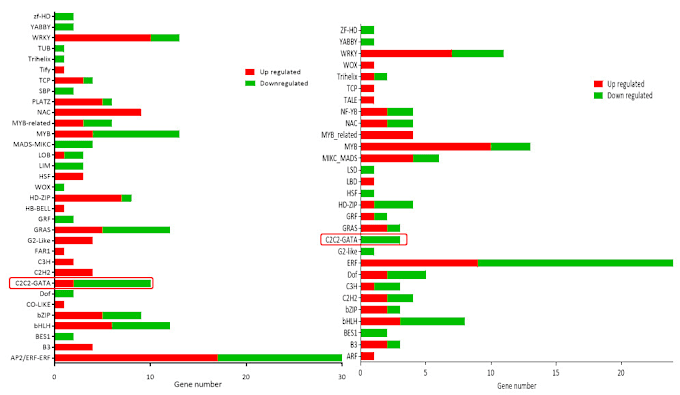 Bestseller - analysis plant data with microsoft excel and transcriptome