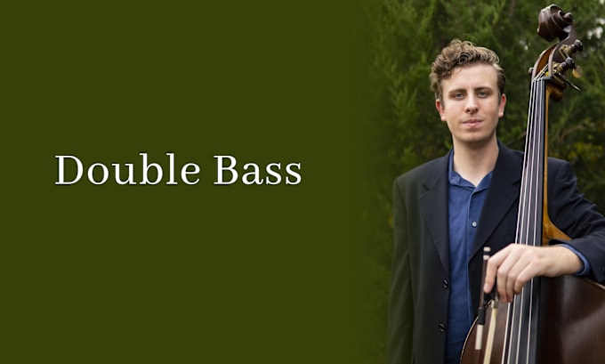 Gig Preview - Record high quality double bass for your song