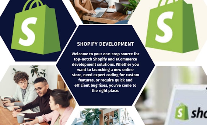 Gig Preview - Offer full stack web development in shopify, build complete ecommerce website