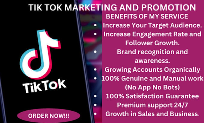 Gig Preview - Manage tiktok marketing for organic growth and promote audience engagement