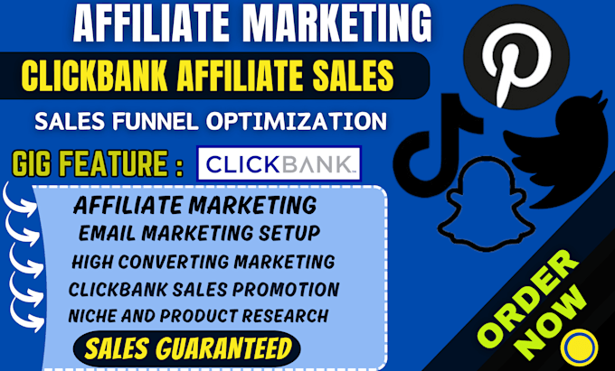 Gig Preview - Build guaranteed clickbank affiliate marketing , amazon website sales funnel