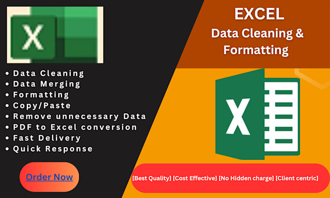 Gig Preview - Clean, organize, format excel, google sheet and CSV data