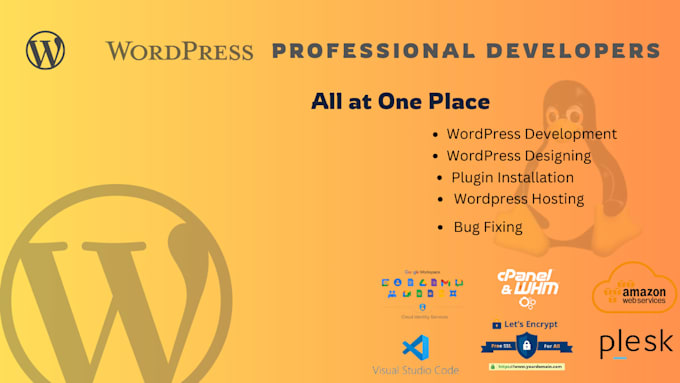 Gig Preview - Develop any wordpress website and fix any wordpress issues