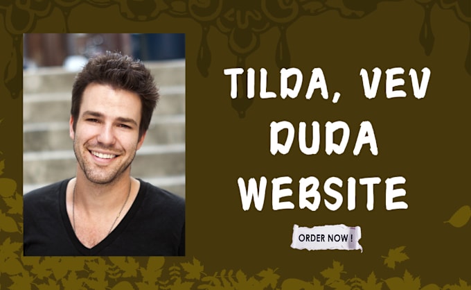 Gig Preview - Design, redesign tilda website, duda website, weebly or vev website