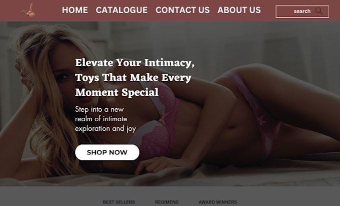 Gig Preview - Design highly profitable  adult toy shopify lingerie store bikini website