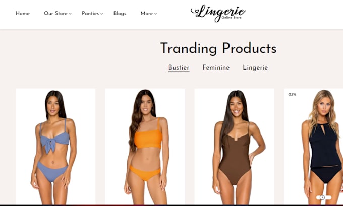 Gig Preview - Design stunning lingerie dropshipping shopify store bikini undergarments store