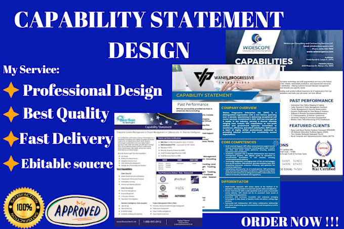 Gig Preview - Design a professional federal government capability statement within 5 hours