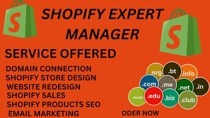 Gig Preview - Develop  shopify store domain name connection, website design store management