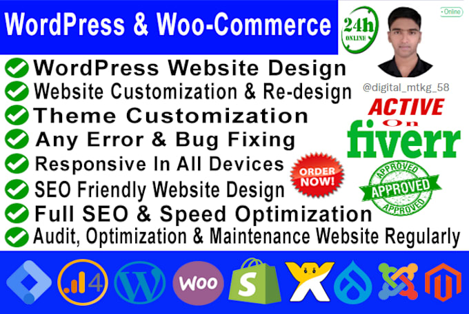 Gig Preview - Build wordpress website and ecommerce website design and development