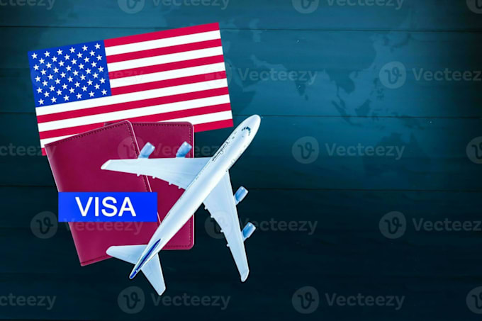 Gig Preview - Arrange your USA visa appointment